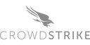 CrowdStrike CrowdStrike